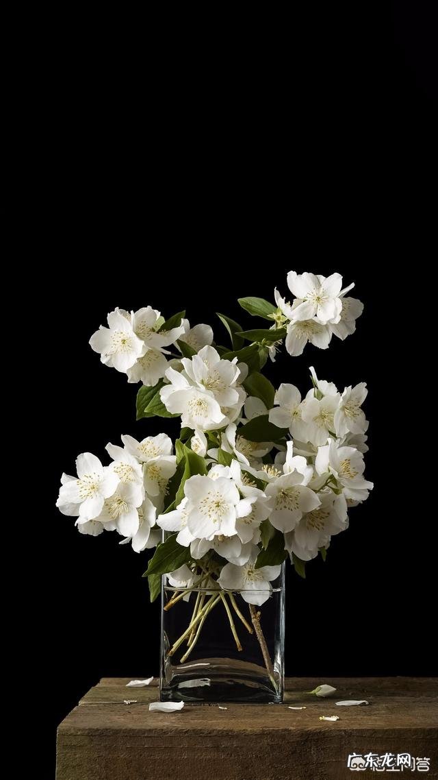 为何别人总是说健身增肌需要吃香蕉?