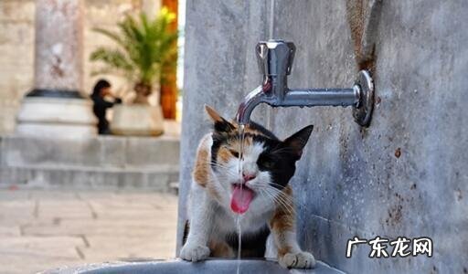 为什么天越冷越觉得干燥口渴