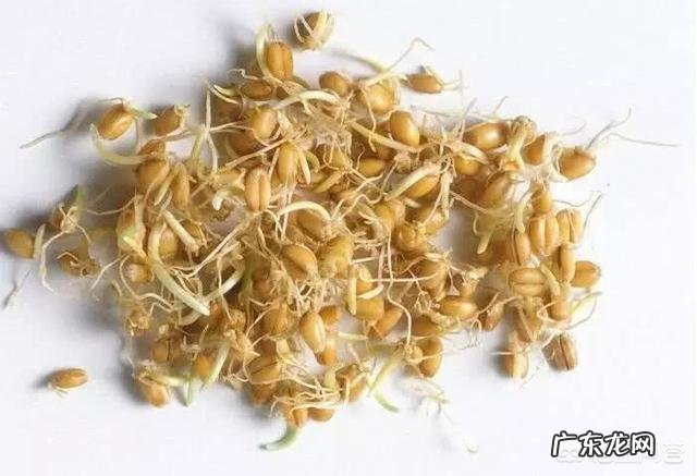 经常晚上吃宵夜对肝脏有什么影响吗