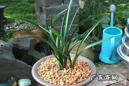 有什么好听的歌吗能推荐几首吗