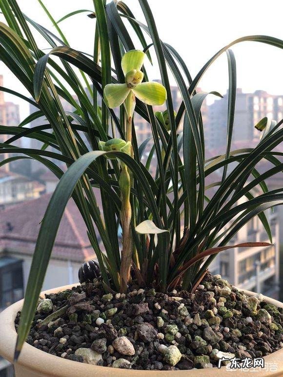 有什么好听的歌吗能推荐几首吗