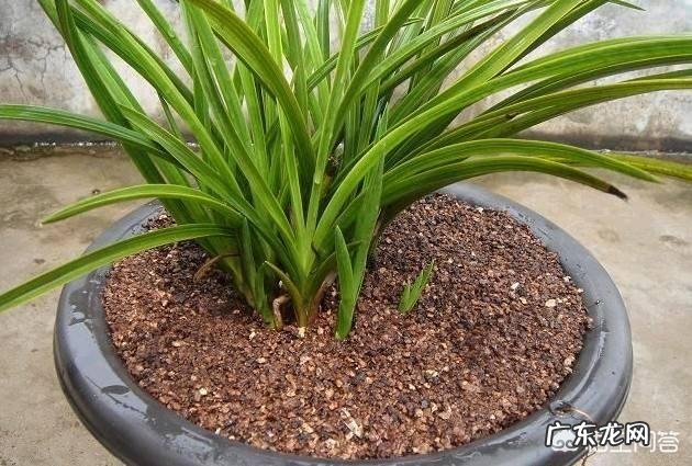 有什么好听的歌吗能推荐几首吗