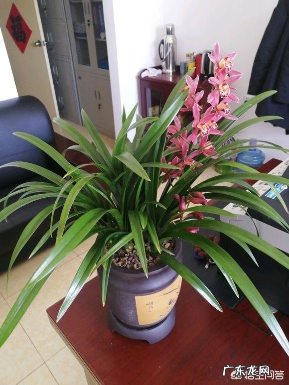 有什么好听的歌吗能推荐几首吗