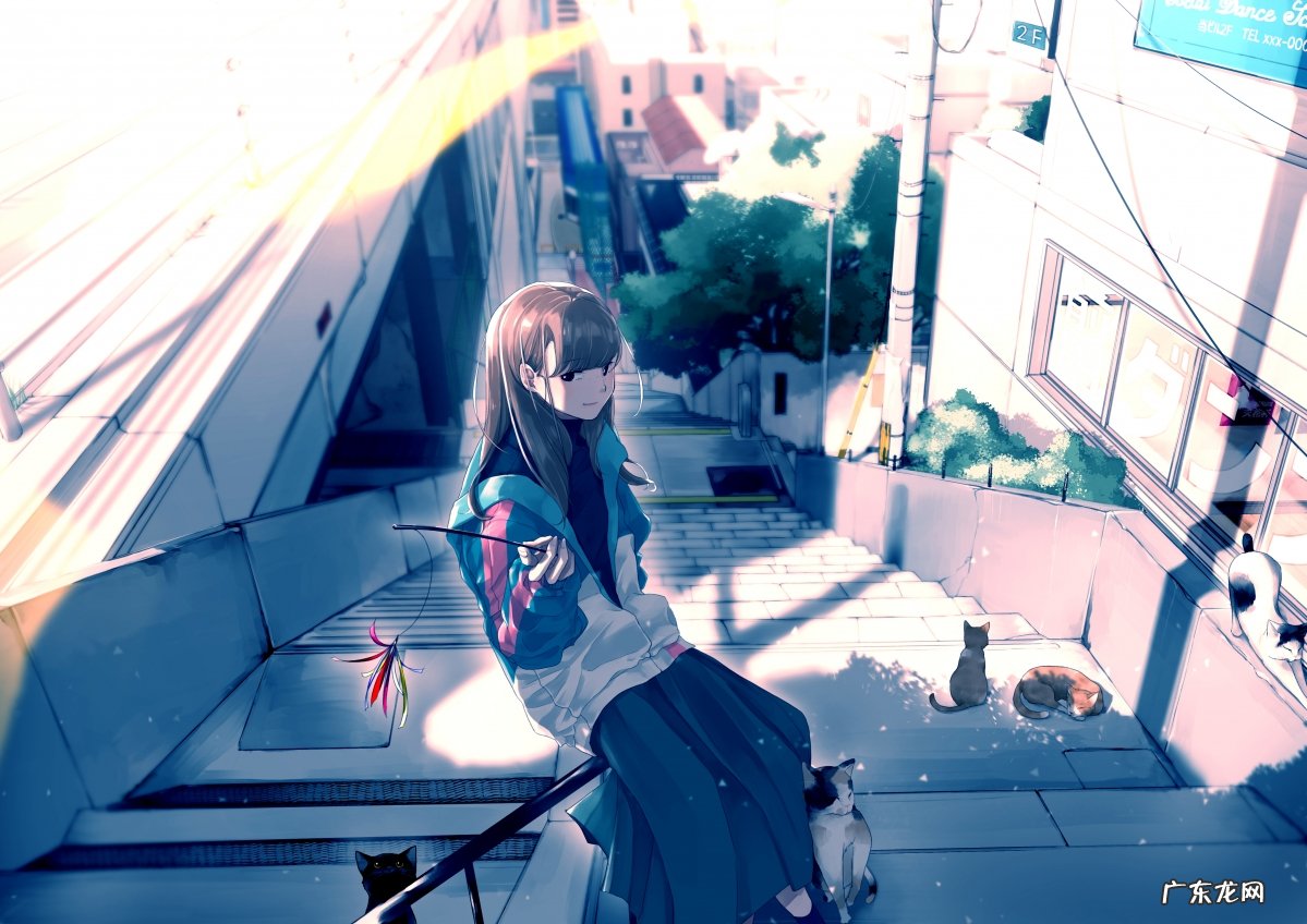 空腹芹菜黄瓜汁可以减肥吗