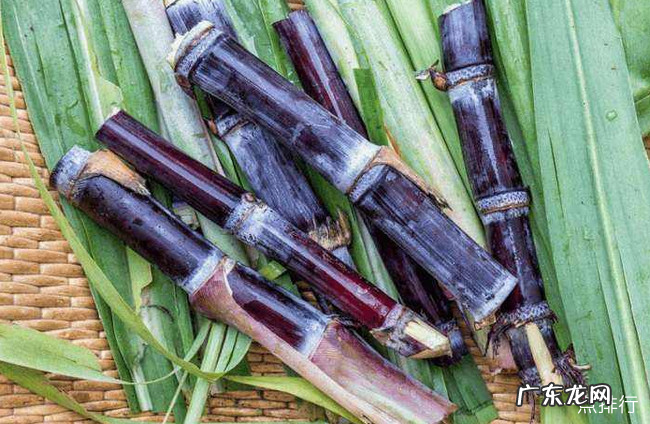 孕妇吃什么水果对胎儿最好 孕妇禁吃十大水果