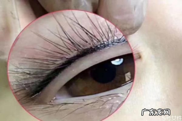 种完睫毛多久可以碰水 种完睫毛后有什么注意