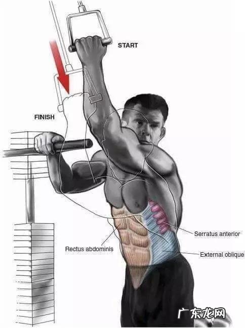 女性脂肪多还是男性脂肪含量多，大家知道么？