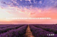 2020年漳州市花博会 2022漳州春节年宵花展介绍