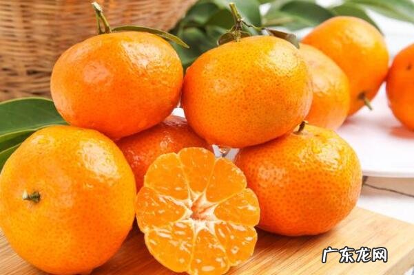 中国最好的桔子 中国出名的八大桔子