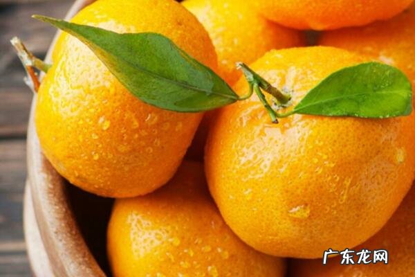 中国最好的桔子 中国出名的八大桔子