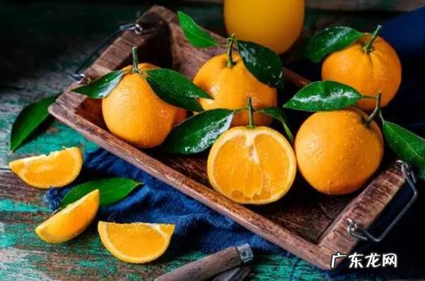 冬季季节水果 冬季十大时令水果