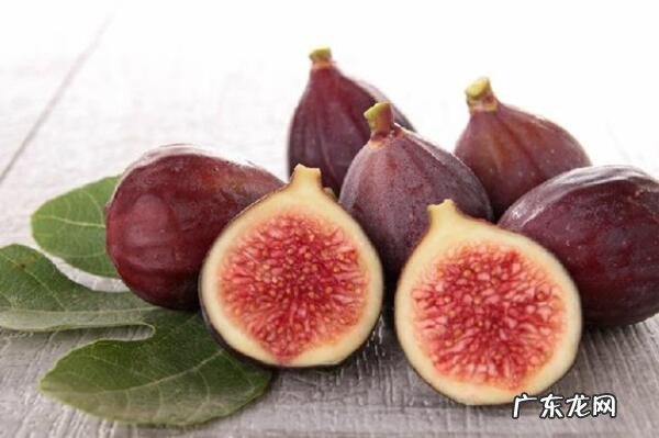 冬季季节水果 冬季十大时令水果