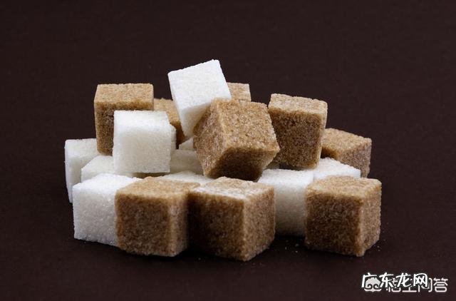 减肥的时候可以吃什甜食?