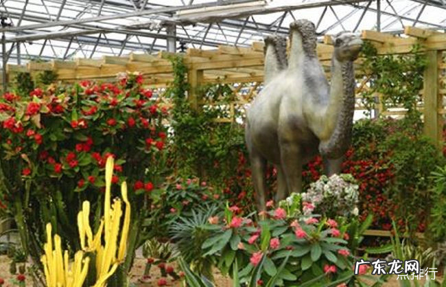 莱芜周边旅游景点大全集 莱芜十大旅游景点大全