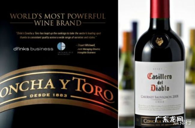 世界上最好的葡萄酒品牌 世界十大著名葡萄酒品牌排行榜