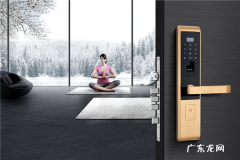 全自动指纹锁品牌十大排行榜 指纹锁品牌十大排行榜