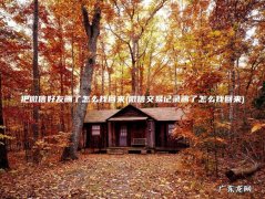 微信交易记录删了怎么找回来 把微信好友删了怎么找回来