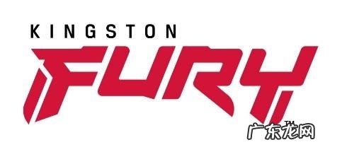 Kingston FURY成为G2 Esports电竞俱乐部官方游戏内存供应商