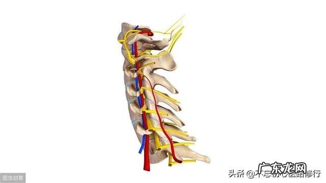 颈椎病有哪些症状如何更好的预防颈椎病