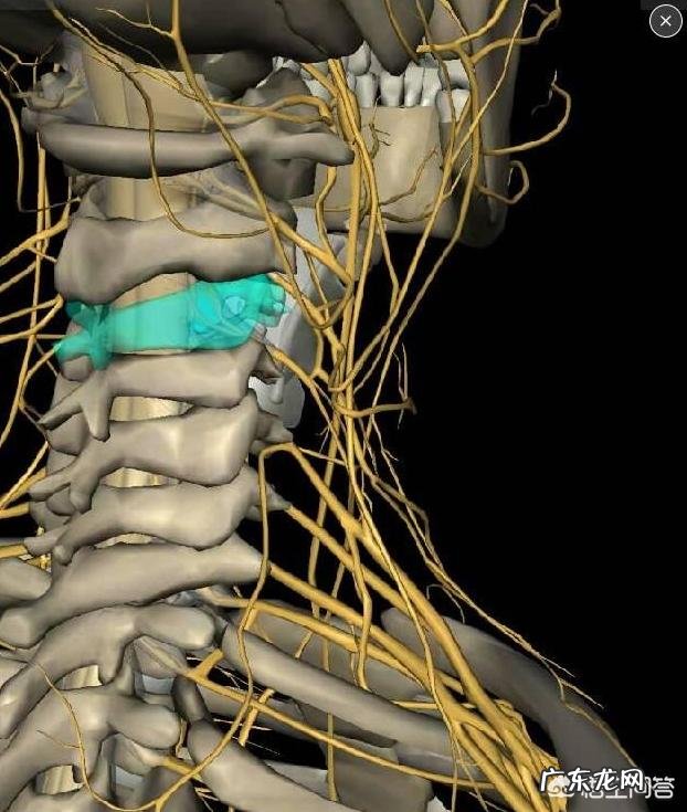 颈椎病有哪些症状如何更好的预防颈椎病