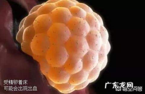 怀孕初期喝了点白酒，对身体有什么影响吗