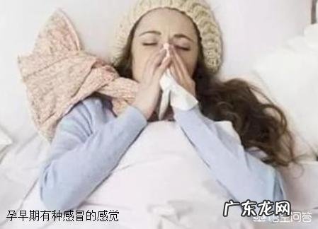 怀孕初期喝了点白酒，对身体有什么影响吗