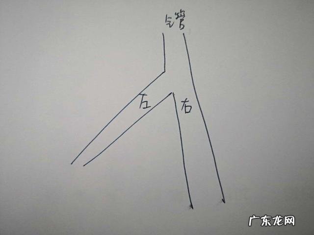 食管癌术后常见的并发症有哪些