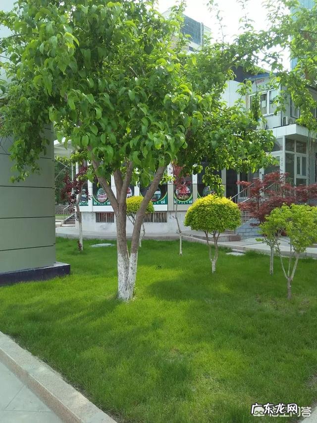 为什么有人说以前的思想和现在的思想差别很大?