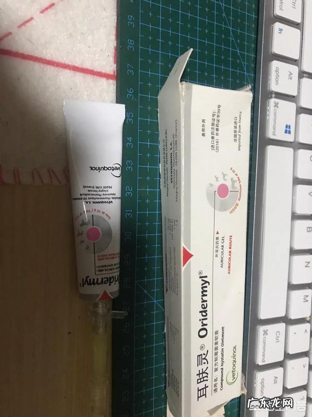 如何养好一只猫?需要注意什么?