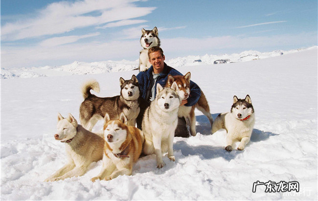 好看的探险电影排行榜前十名 十大经典探险求生电影排行榜