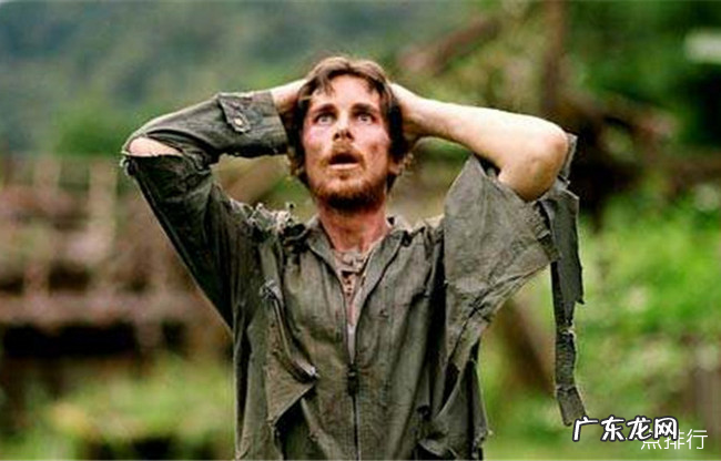 好看的探险电影排行榜前十名 十大经典探险求生电影排行榜