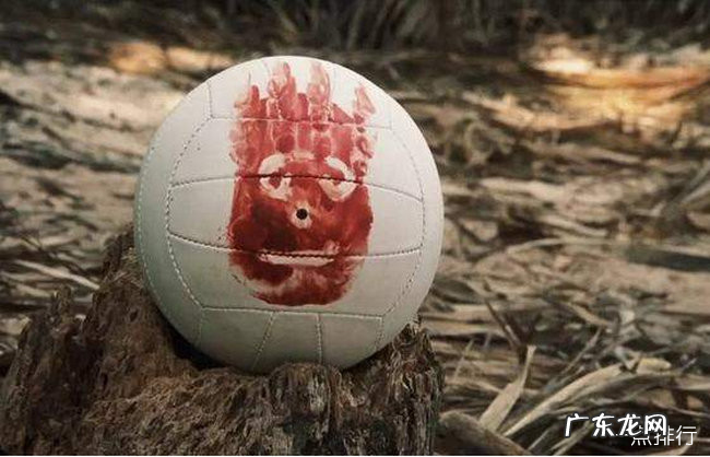 好看的探险电影排行榜前十名 十大经典探险求生电影排行榜