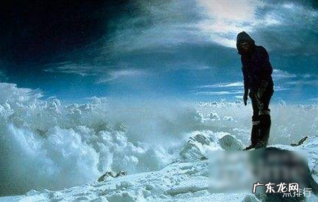 好看的探险电影排行榜前十名 十大经典探险求生电影排行榜