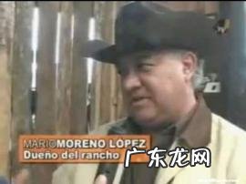 墨西哥曾发现“外星婴儿”,这是真的吗?