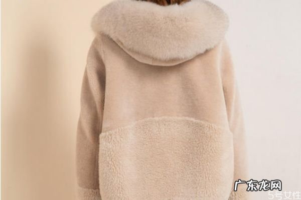 贡米色和驼色有什么区别 贡米色和驼色有什么不同