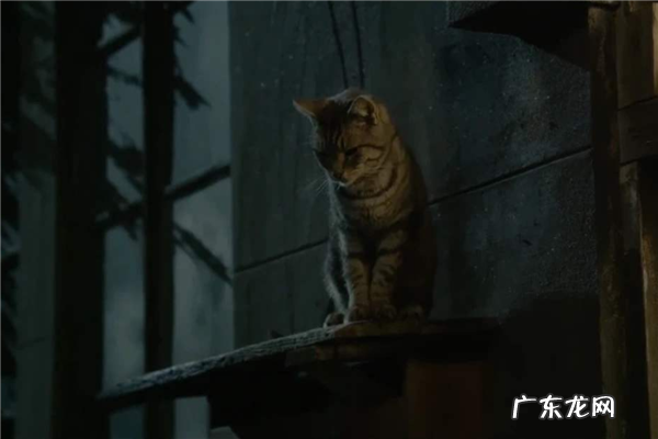 韩国十大恐怖电影排名电影 最吓人的韩国电影排名