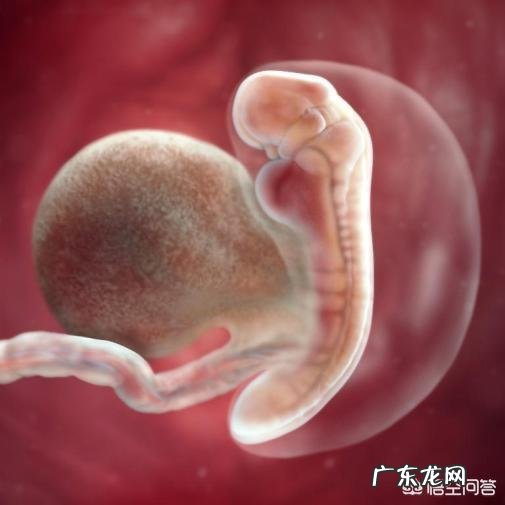 孕期晚睡晚起,宝宝出生后会比较闹腾吗