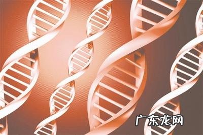 孕期晚睡晚起，宝宝出生后会比较闹腾吗