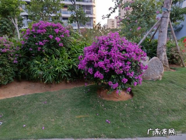 有人说海南的收入低、物价高，可海南人却很有幸福感，是什么原因