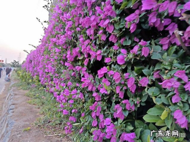 有人说海南的收入低、物价高，可海南人却很有幸福感，是什么原因