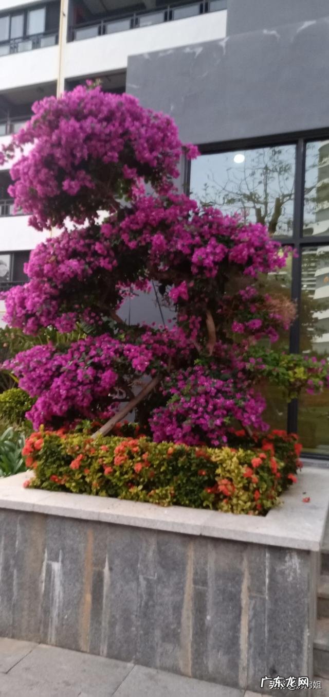 有人说海南的收入低、物价高，可海南人却很有幸福感，是什么原因