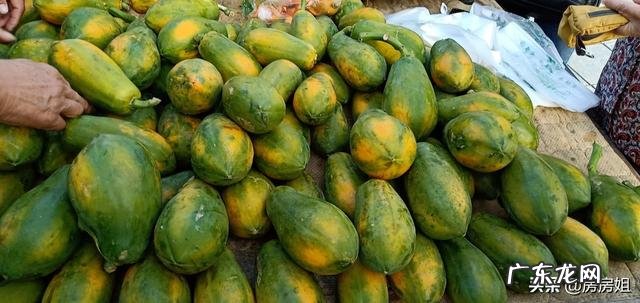 有人说海南的收入低、物价高，可海南人却很有幸福感，是什么原因