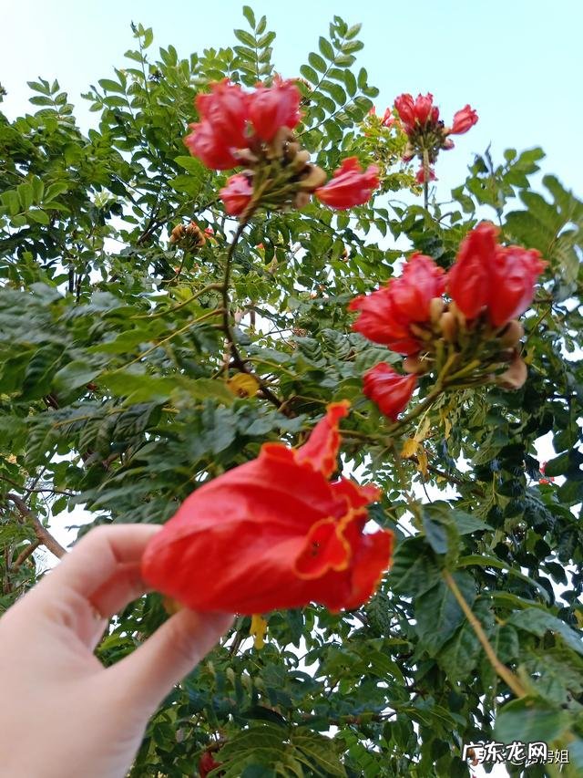 有人说海南的收入低、物价高，可海南人却很有幸福感，是什么原因