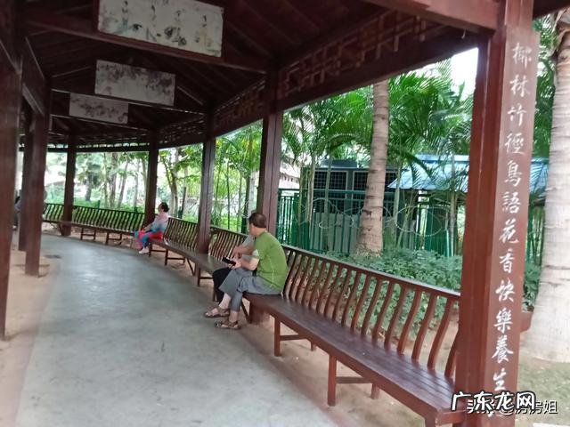 有人说海南的收入低、物价高，可海南人却很有幸福感，是什么原因