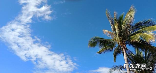 有人说海南的收入低、物价高，可海南人却很有幸福感，是什么原因