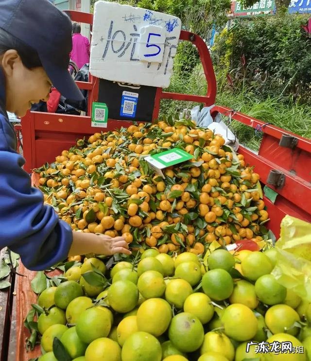 有人说海南的收入低、物价高，可海南人却很有幸福感，是什么原因