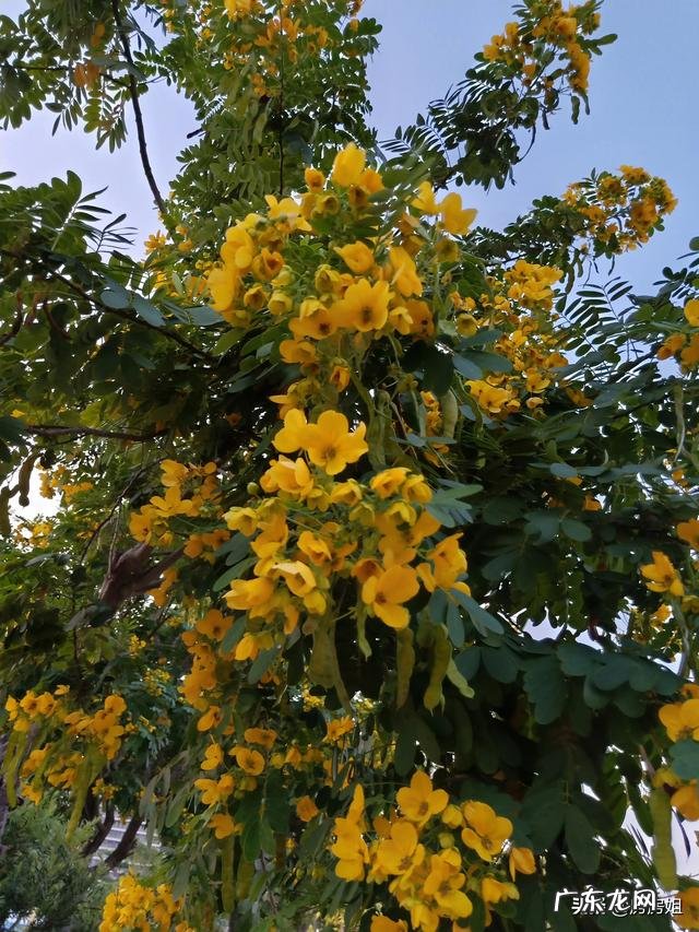 有人说海南的收入低、物价高，可海南人却很有幸福感，是什么原因