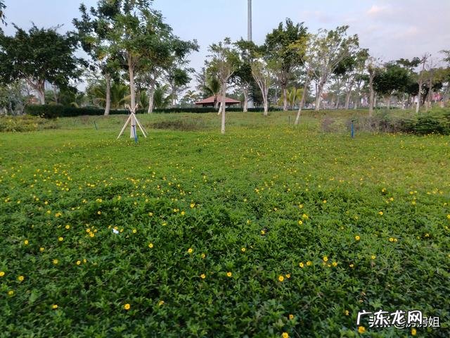 有人说海南的收入低、物价高，可海南人却很有幸福感，是什么原因