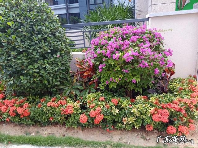 有人说海南的收入低、物价高，可海南人却很有幸福感，是什么原因