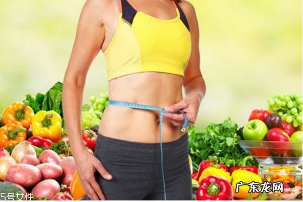 3337减肥法的危害 3337减肥法减肥真相